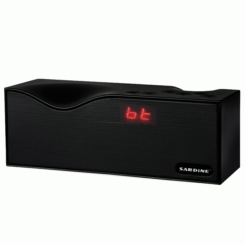 Bluetooth Speaker with stereo sound quality and FM radio SARDiNE B1